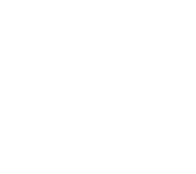 TruFire Logo
