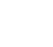 IQ Bowsight Logo
