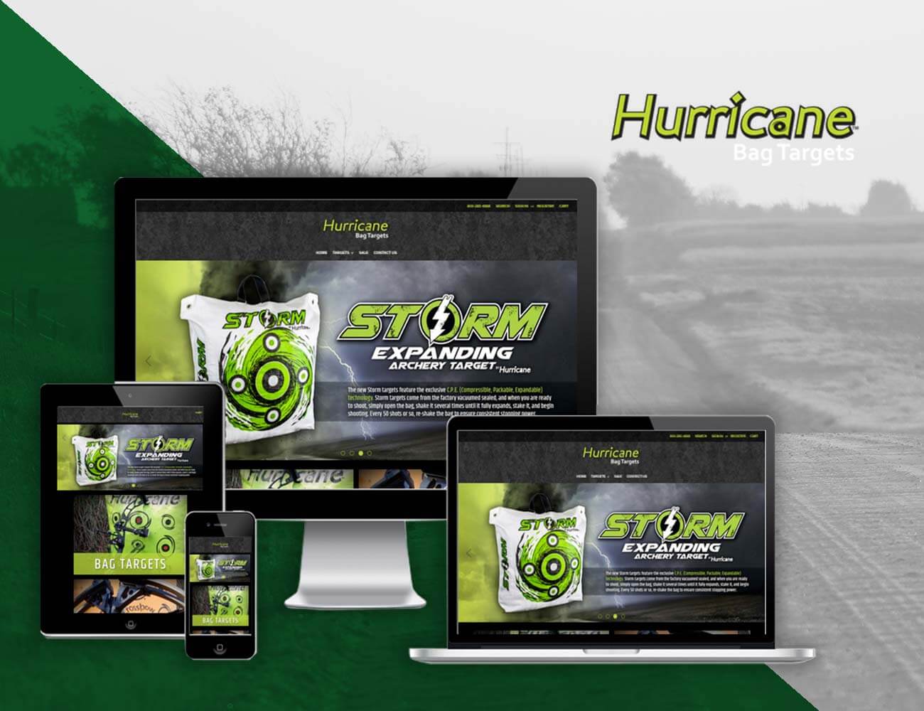 hurricane targets website design