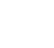 Carbon Express FeraDyne Logo
