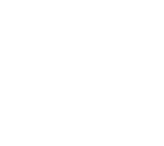 Gorilla Gear FeraDyne Logo
