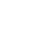 Natural Soy Logo