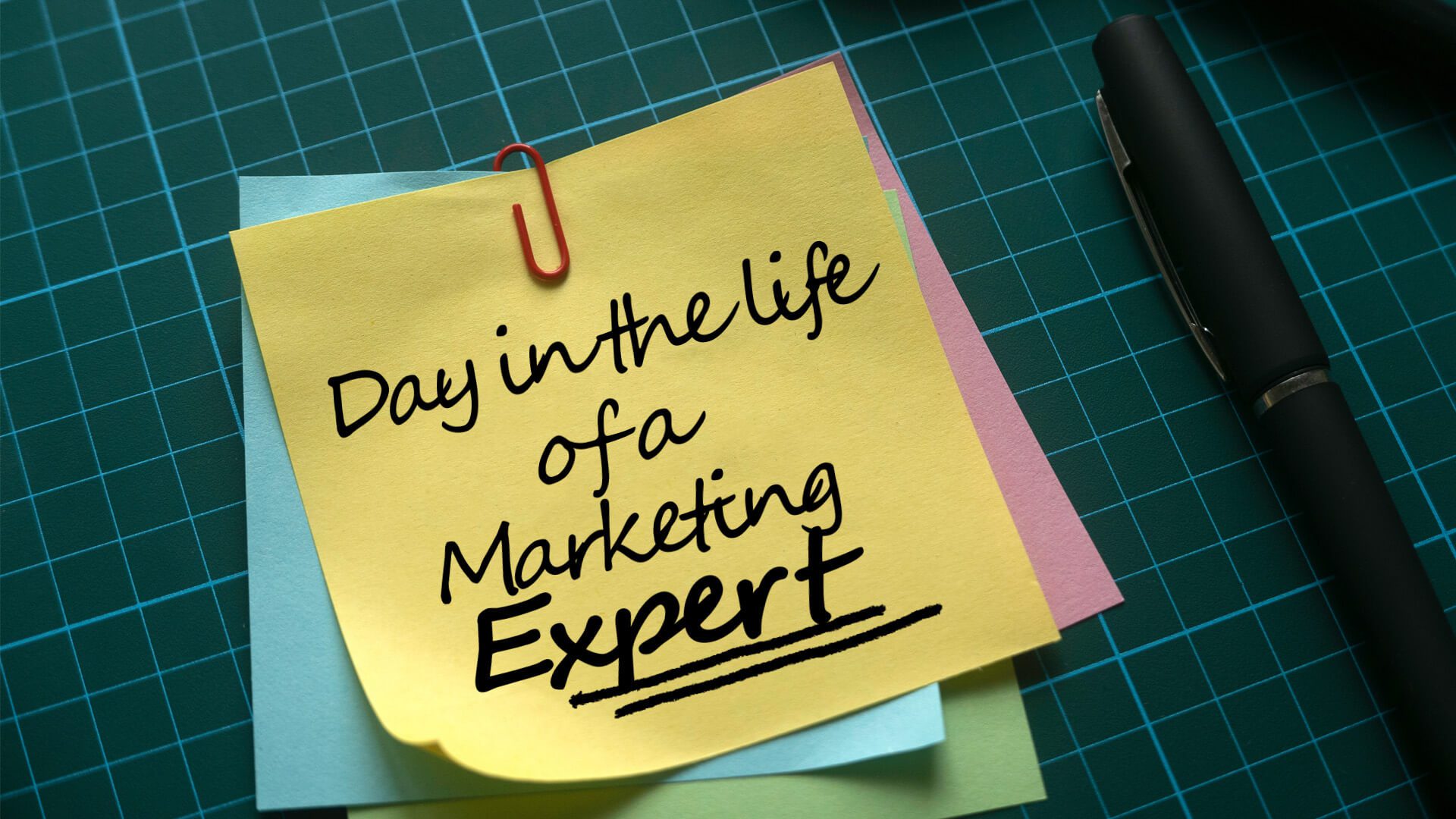 Day in the life of a marketing expert