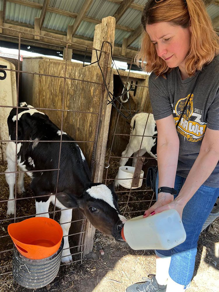 Jen bottle feeding a calf at Hansens! Jen bottle feeding a calf at Hansens!