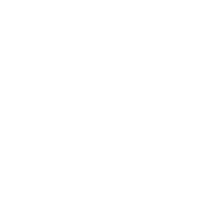 White Ambush logo