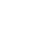 White LS Tractor logo
